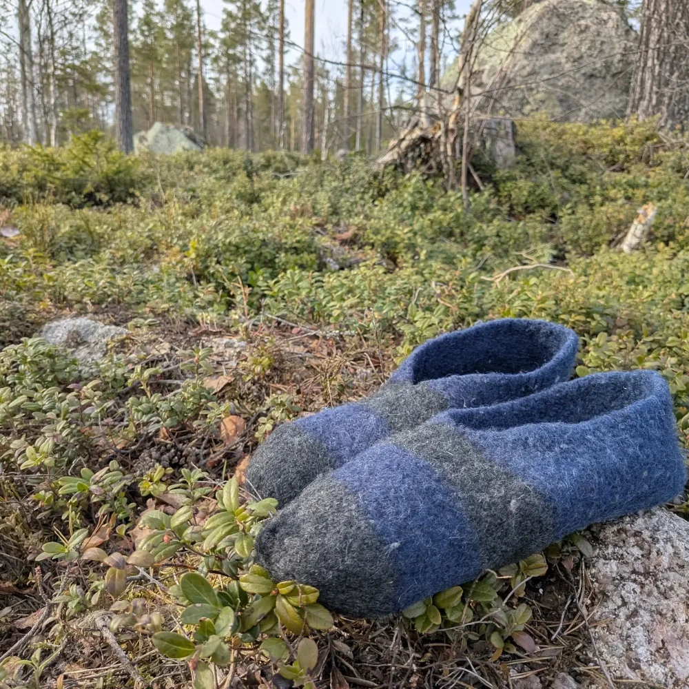 Blue slippers 1